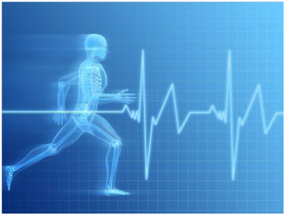 heart rate variability research