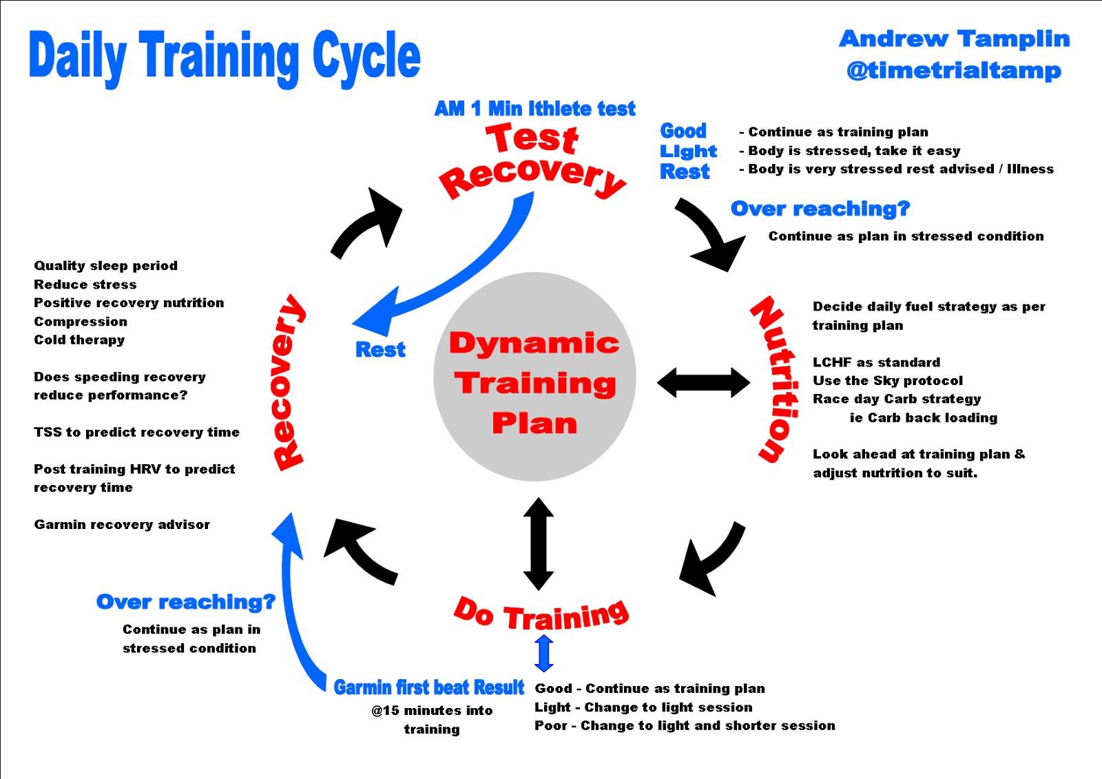 Training cycle infographic