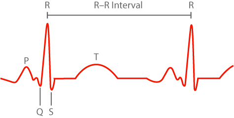 HRV in sports training RR intervals