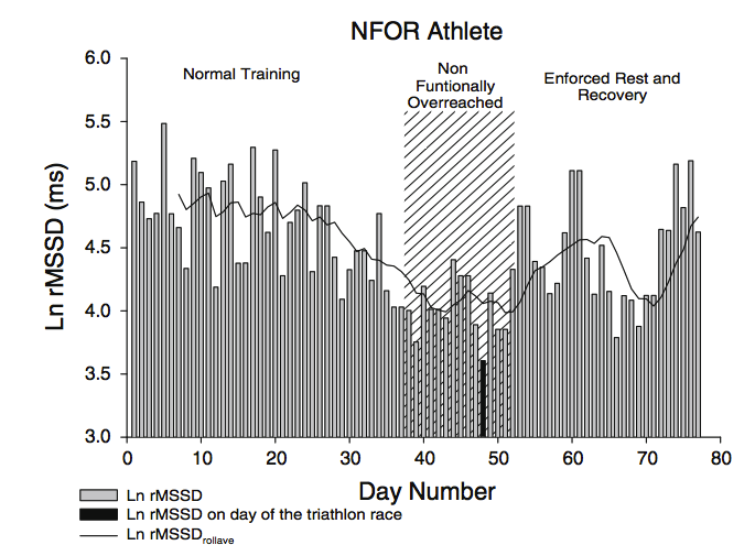 Training adaptation & HRV in elite endurance athletes: Opening the door to effective monitoring