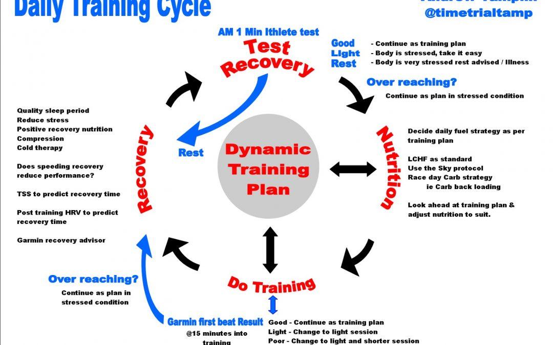 A Daily Training Cycle
